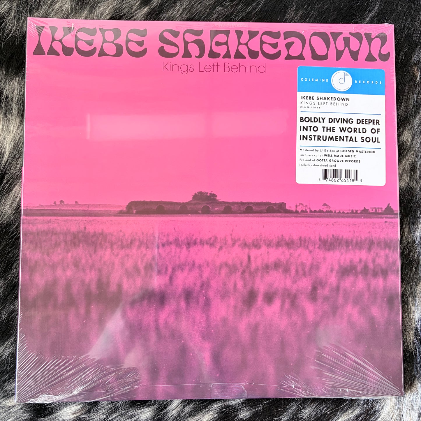 Ikebe Shakedown - "Kings Left Behind" - Vinyl LP