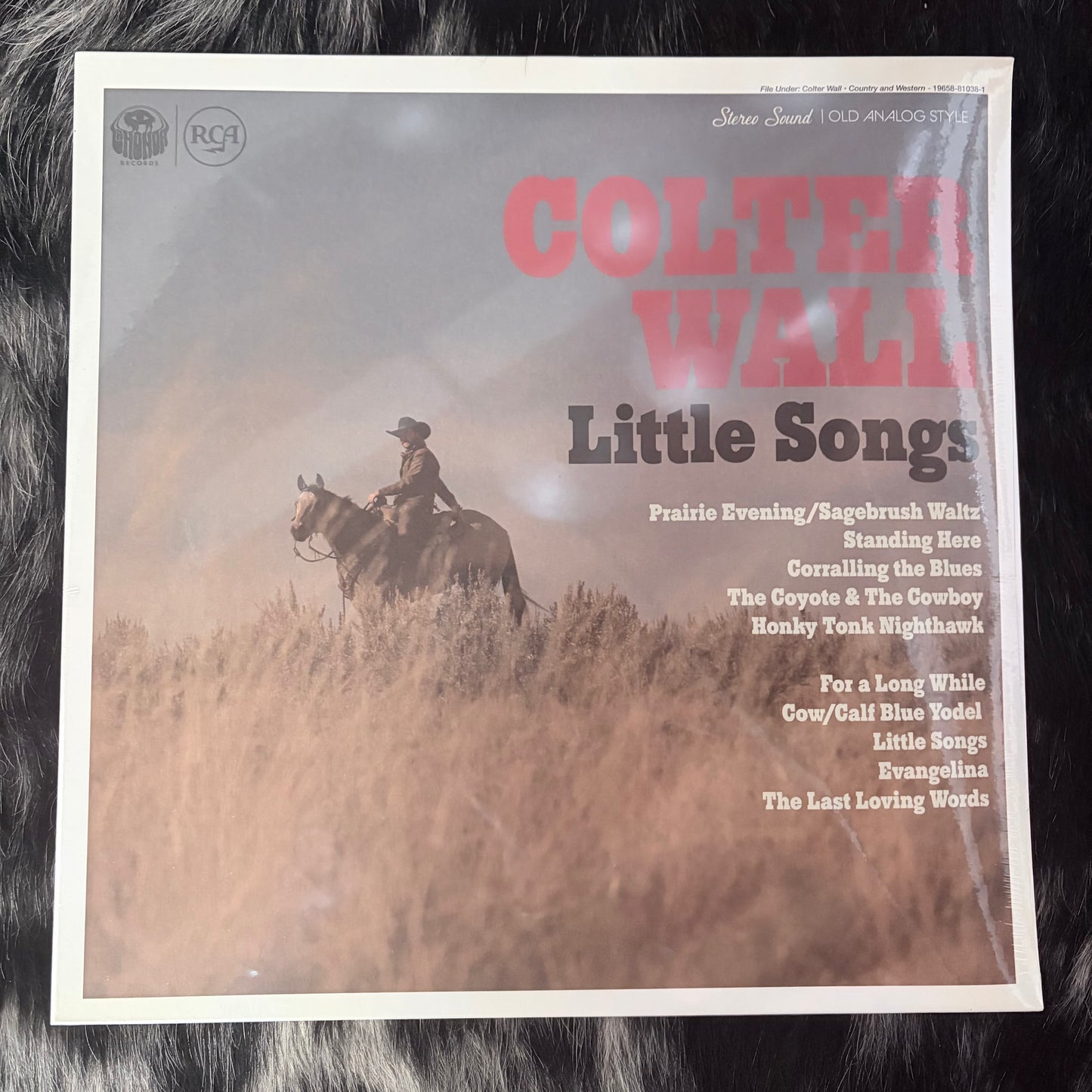 Colter Wall - "Little Songs" - Vinyl LP