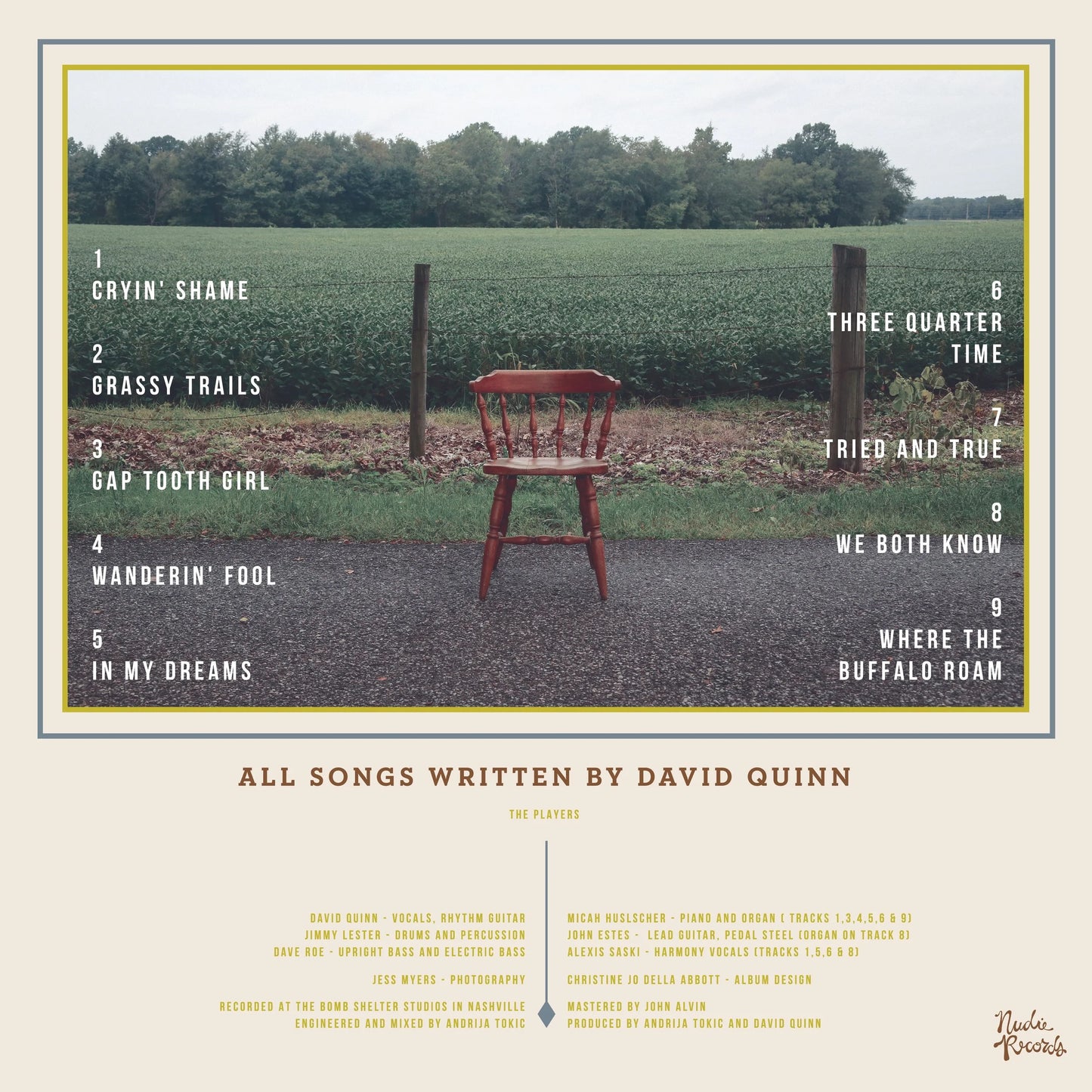 David Quinn - "Wanderin' Fool" - Vinyl LP