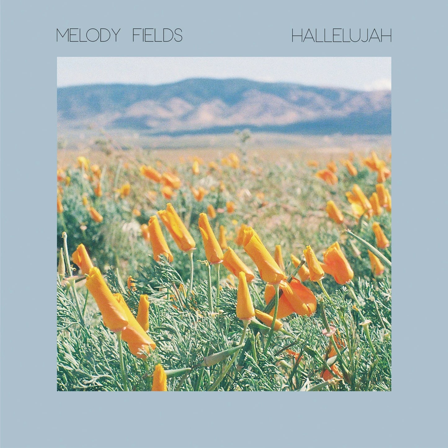 Melody Fields - "Hallelujah b/w A Life Well Lived" - 7" single