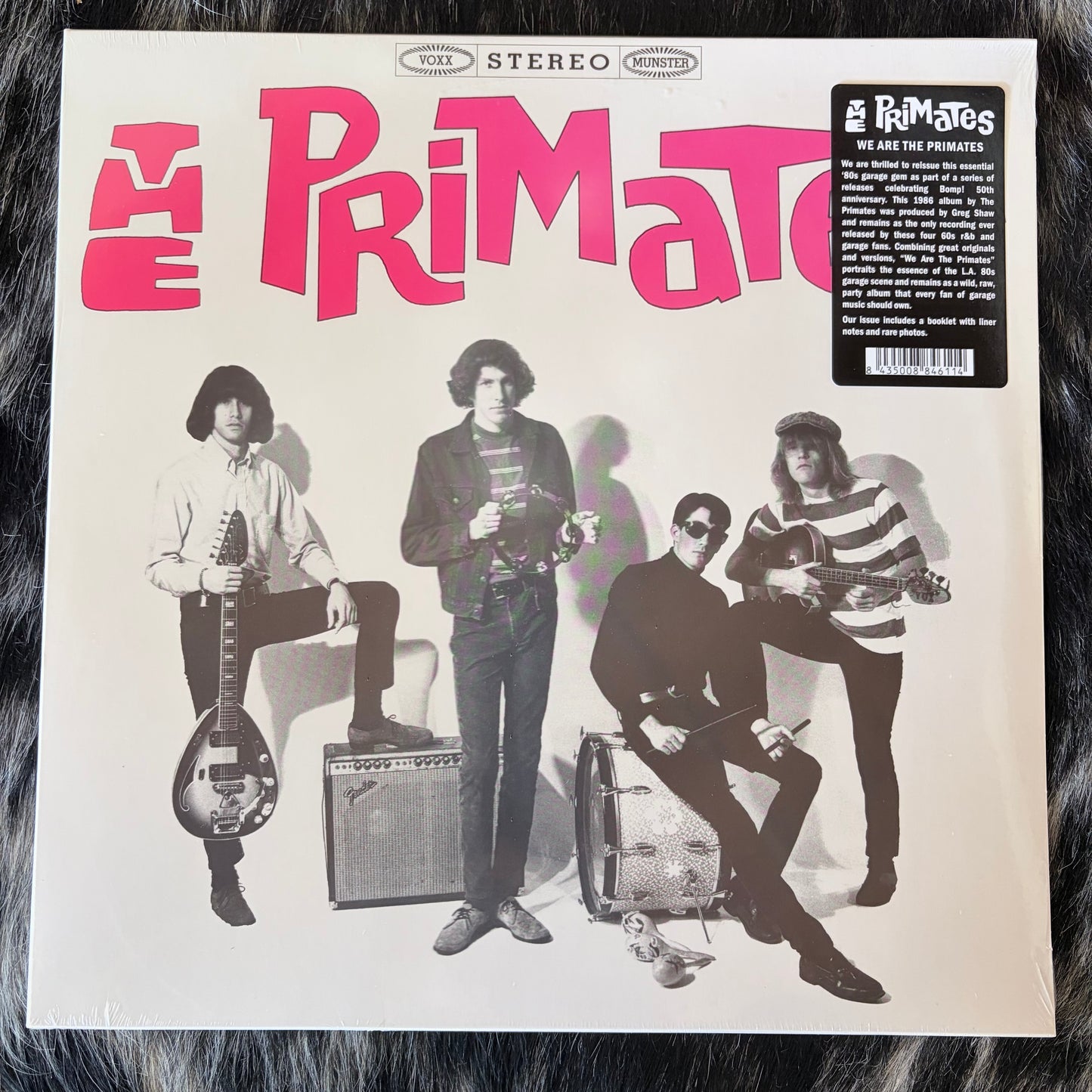The Primates - "We Are The Primates" - Vinyl LP