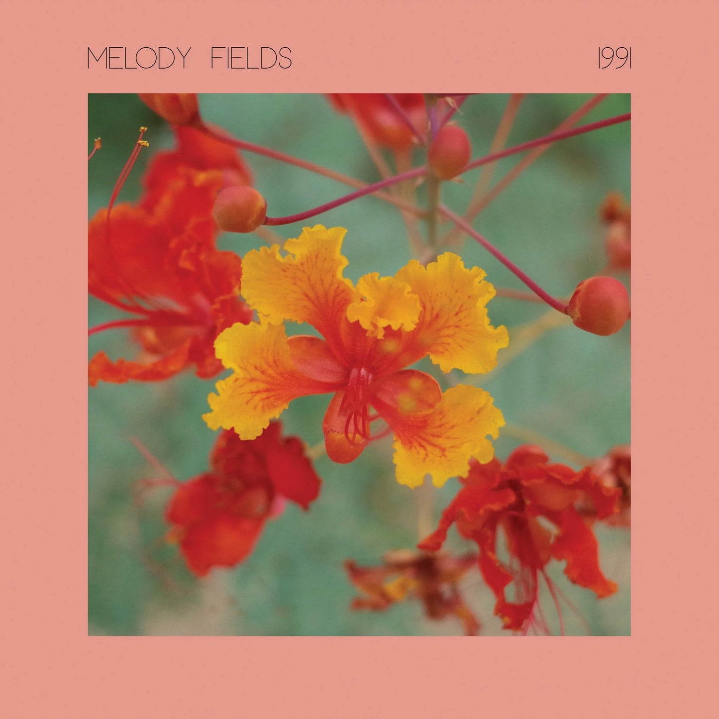 Melody Fields - "1991" - Vinyl LP