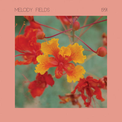 Melody Fields - "1991" - Vinyl LP