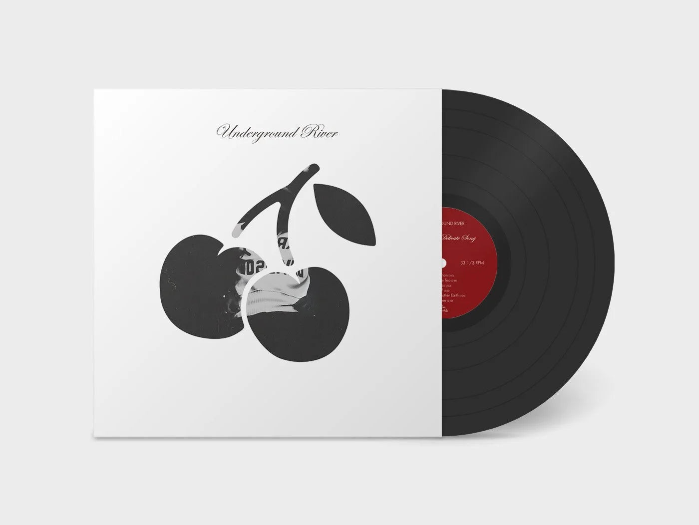 Underground River - "Life Cycle, Delicate Song" - Vinyl LP